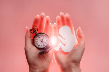 Embryo silhouette from paper and clock in woman hands with light. Pink background. Soft focus. clipart