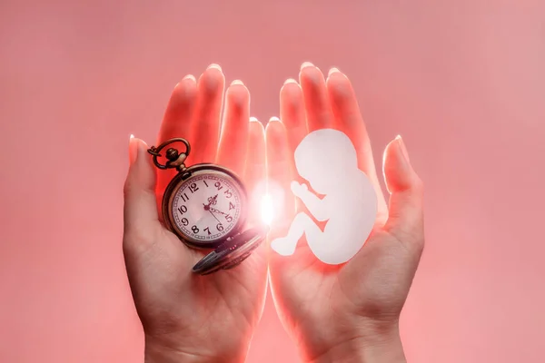 Embryo Sylwetka Papieru Zegara Rękach Kobiety Światłem Różowe Tło Miękkie — Zdjęcie stockowe