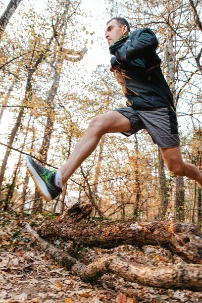 The concept of sports and cross-country running. A man in sportswear jumping branches on the ground, Jogging. Forest in the background. Blur in motion.