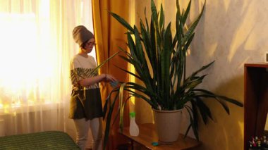 Şapkalı ve gözlüklü genç beyaz kadın, güneş ışığı, çevre hobisi ve ev içi bahçe işleri gibi konforlu iç mekanlarda çiçek yaprakları buduyor. Geniş açı