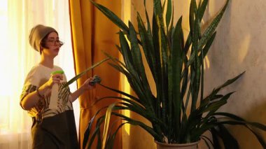 Gözlüklü ve rahat giyimli güzel bir kadın evde sıcak ışık, ev hobisi ve sürdürülebilirlik kavramı olan tencerede yeşillikle ilgileniyor..