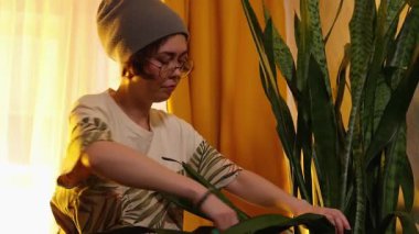 Kafkas şapkalı bir kadının tencerede bitki yaprakları kestiği rahat ev atmosferi, evde bakım, eko yaşam ve akşam rahatlığı. Alt görünüm