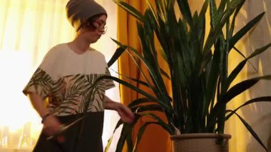 Şapkalı ve gözlüklü genç bahçıvan kadın evin içinde saksı bitkisinin yapraklarını kesiyor, sıcak, hafif, sürdürülebilirlik kavramı evde. Orta çekim