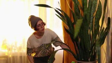 Şapkalı ve gözlüklü güzel bir kadın sıcak akşam ışığında evde saksı yaprakları kesiyor. Çevresel yaşam tarzı ve bahçe işleri hobisi..