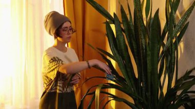 Günlük giysiler giymiş, şapka takan, gözlüklü, akşam güneşi parlayan yeşil bitkilerle ilgilenen beyaz bir kadın. Çevresel yaşam tarzı. Orta çekim