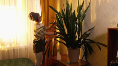 Gözlüklü ve şapkalı bir kadın tencerede saksı yetiştirirken modern bir dairede günışığı eşliğinde dikiliyor. Evdeki çevre dostu hobi..