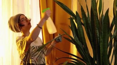 Şapkalı ve gözlüklü genç bir kadın ev bitkisinin yapraklarını altın saat ışığı, rahatlama ve ekolojik hobi ile süslüyor. Orta çekim