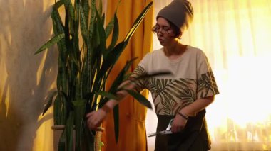 Gözlük takan ve otun içindeki yeşil yaprakları budayarak ev içinde yetişen kadın sürdürülebilirlik ve kentsel bahçe işleri kavramı. Orta çekim