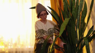 Gözlüklü, şapkalı, şık bir kadın. Parlak ev iç mekanında tencerede yeşillik, rahatlama, refah ve çevre hobisi. Orta çekim