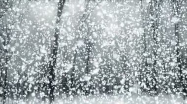 Büyülü kar gri / / 4 k atmosferik şiirsel kış Video arka plan döngü. Bir rüya gibi görsel kalitesi ile bir karlı kış orman. Büyük atmosferik arka plan video özellikle Noel zamanı için uygun. Tüm resimlerim gibi ile onun mükemmel ve seamles