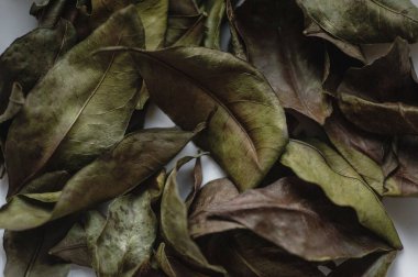 Beyaz arka plan üzerinde arka plan mandarin kuru yaprağı dokulu kuru narenciye bırakır