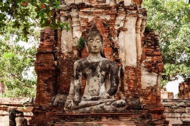 Ayutthaya 'daki antik Buda heykeli, Tayland