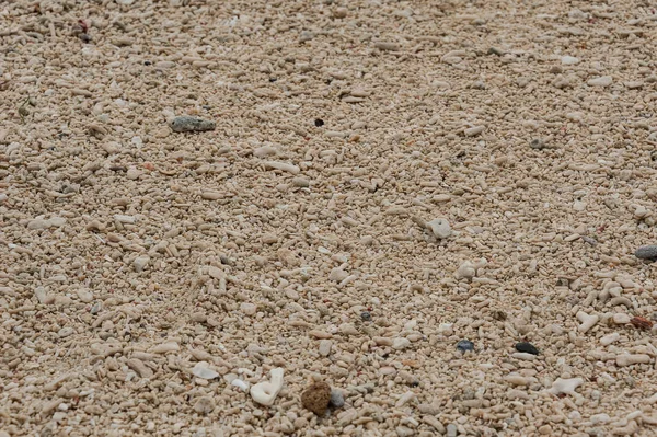 Коричневый Коралловый Песок — стоковое фото