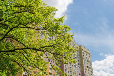 Gökyüzünün karşı ön plan üzerinde meşe dalları ile modern çok öykülü apartmanın parçası yaptı