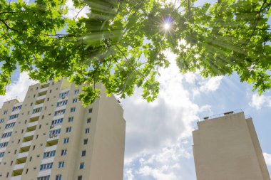 İki modern çok öykülü daire Bina ağaç dalları ve onları arasında güneş ışınları ön plan üst parçası
