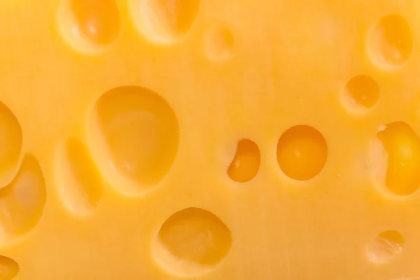 Textura Del Corte Del Queso Suizo Con Agujeros Internos Primer —  Fotos de Stock