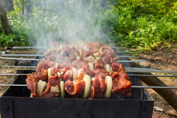 Shashlik made of cubes of meat with alternating pieces of onion on the skewers during of cooking on the mangal over charcoal outdoors at selective focus