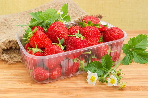 Frische Reife Gartenerdbeeren Transparenten Futterbehälter Und Erdbeerblätter Und Blüten Daneben — Stockfoto