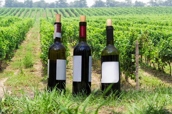 Three Uncapped Bottles Different Wine Corks Grass Background Vineyard — Stock Photo, Image