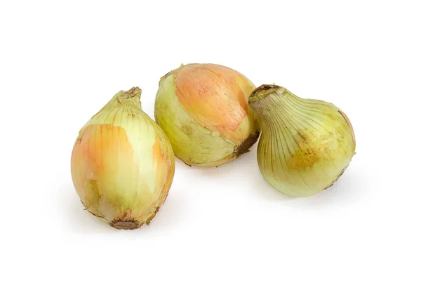 Three Fresh Unwashed Young Bulb Onion White Background — Stock Photo, Image