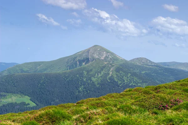 Vista Pico Montanhoso Hoverla Encosta Monte Petros Nos Cárpatos Orientais — Fotografia de Stock