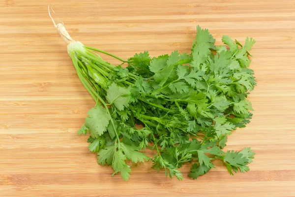 Young Plant Coriander Stalks Leaves Root Bamboo Cutting Board — Stock Photo, Image