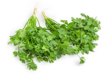 Kişniş saplarını ile iki genç bitki yaprakları ve beyaz bir arka plan üzerinde kökleri