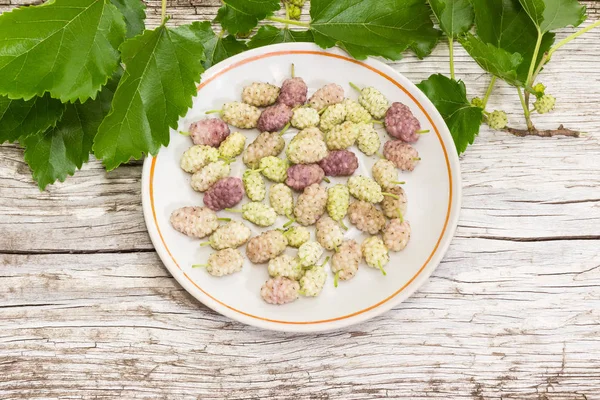 Top View Berries White Mulberry White Saucer Branches Mulberry Tree — Stock Photo, Image