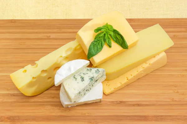 Pieces Different Soft Semi Soft Cheese Mold Medium Hard Cheese — Stock Photo, Image