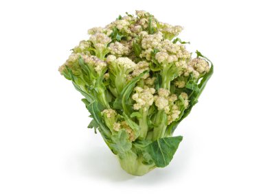 Head of the ripening cauliflower on a white background clipart