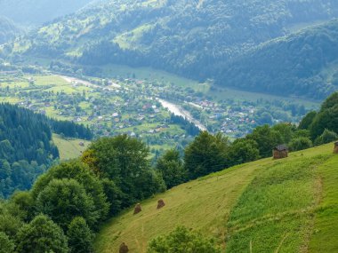 Hayfields ve orman ile bir dağ yamacı vadiden dağ köyünde görünümünü ön planda Karpat Dağları üzerinde