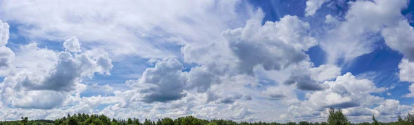 夏の日の林に覆われた平坦な地形上巻雲と積雲の雲と空の広いパノラマ — ストック写真