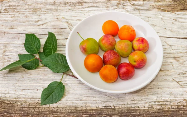 Red cherry plums on a white saucer and small twig of cherry-plum tree on an old rustic wooden surface
