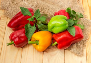 Dal ve yaprakları ile olgun varicolored biber üstten görünüm bir çuval bezi ve açık renkli ahşap yüzey