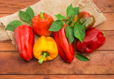 Çalı çırpı ve biber bitki yaprakları bir çuval bezi ve koyu renkli ahşap yüzey ile olgun varicolored biber