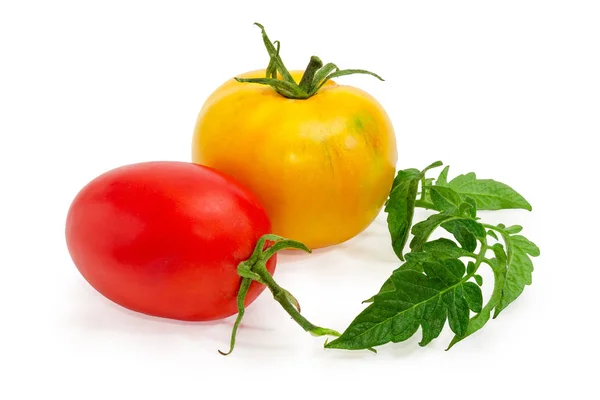 Tomat Plum Kuning Dan Merah Utuh Dengan Daun Tanaman Tomat — Stok Foto
