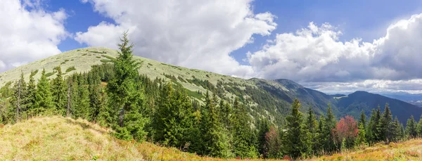 Panorama Gór Pokryte Kamiennymi Gruntowego Łąk Drzew Pierwszym Planie Karpatach — Zdjęcie stockowe