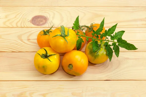 Pile Tomates Mûres Jaunes Oranges Avec Feuille Tomate Sur Une — Photo