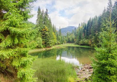 Küçük dağ gölü Dağı Vadisi'nde yer alan ormanla kaplı yamaçları ve Karpat Dağları'nda su yansıması
