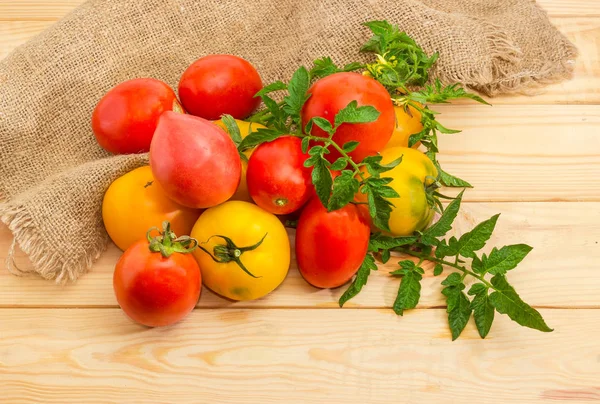 Pile Différentes Tomates Jaunes Rouges Des Brindilles Plante Tomate Avec — Photo