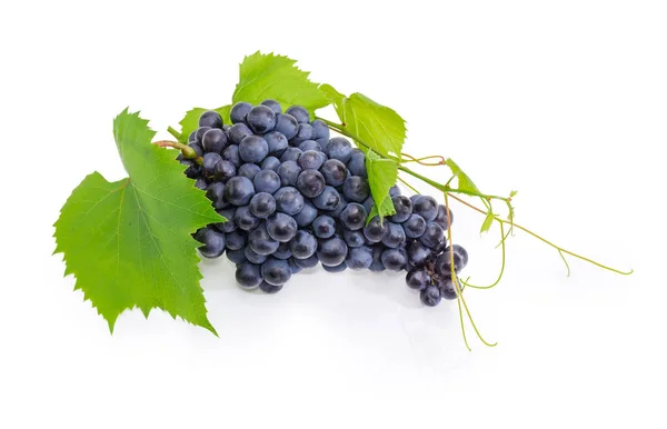 Cluster Ripe Table Blue Grapes Small Vine Stem Leaves Tendrils — Stock Photo, Image