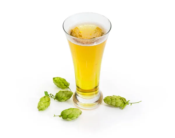 Beer glass with lager beer among of the hop cones on a white background