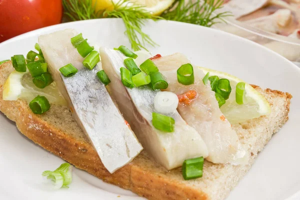 Open Sandwich Made Brown Bread Slices Pickled Atlantic Herring Fillet — Stock Photo, Image