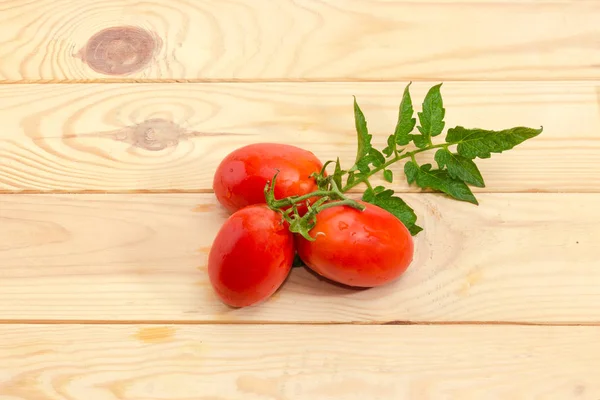 Branche Tomate Prune Rouge Avec Gouttes Eau Feuille Tomate Sur — Photo