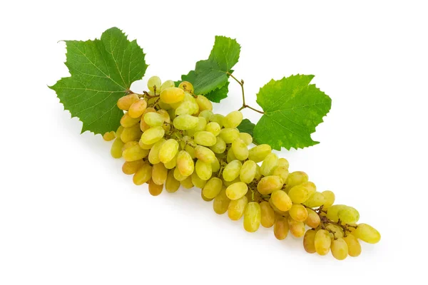 Длинное Скопление Спелого Белого Султанского Винограда Виноградными Листьями Белом Фоне — стоковое фото