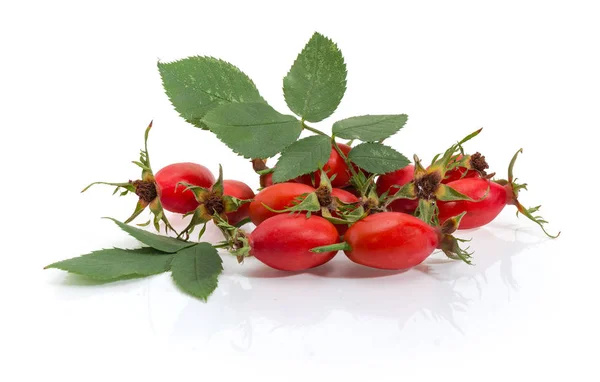 Rosa Mosqueta Roja Fresca Con Hojas Sobre Una Superficie Blanca —  Fotos de Stock