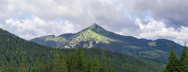 Bergpanorama Mit Steinplakaten Die Sich Über Die Mit Fichtenwäldern Bedeckten — Stockfoto