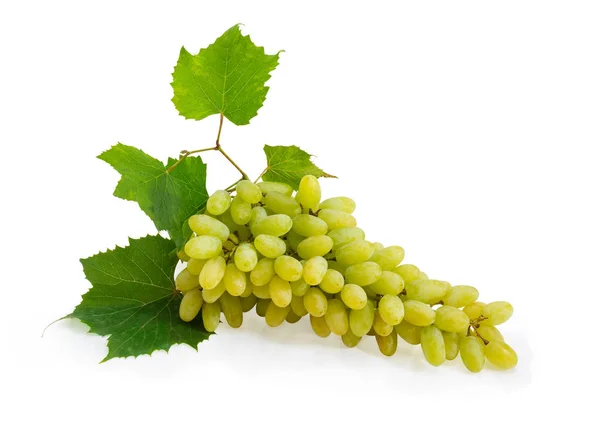 Cluster Table White Grapes Leaves Vine White Background — Stock Photo, Image