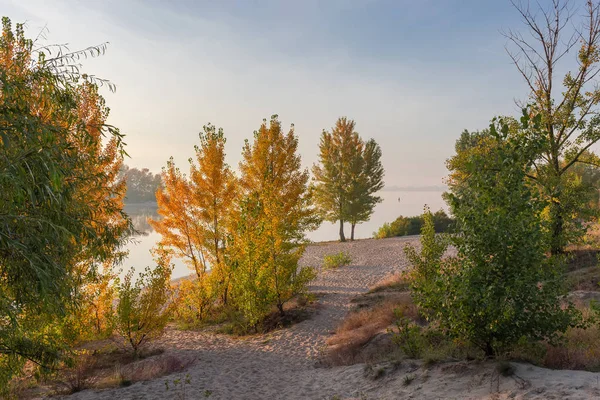 Sandy River Bank Met Wilgen Populieren Andere Bomen Met Herfst — Stockfoto