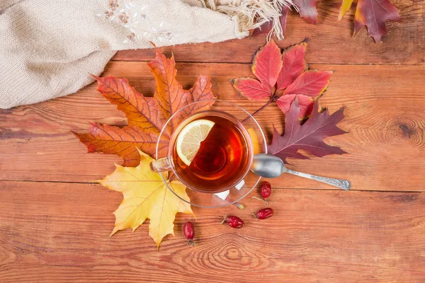 Cam bardak limonlu çay siyah sonbahar ile eski rustik ahşap masa kaşık ile uçan daire üzerinde yukarıdan çıkar, rose hips ve bayanlar yün örme eşarp kurutulmuş